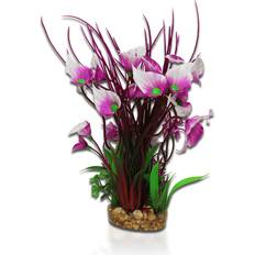 Pets AquaOne Aqua One Purple Villarsia/Hygrophila Medium