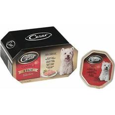 Cesar Pets Cesar classics dog trays meat selection
