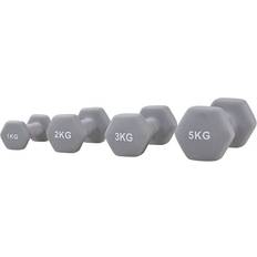 Set Dumbbells 2 x 1-5 kg