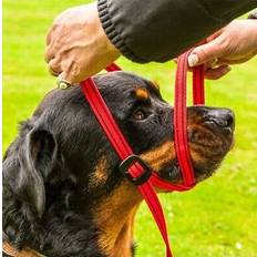 Pets Gencon all in 1 clip to collar headcollar & lead
