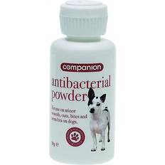 Pets Companion powder bz2765