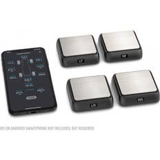 SK500036-01 Corner Weight System Bluetooth