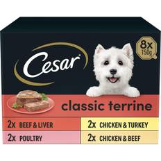 Cesar Pets Cesar Classic Terrine Jelly 24 Trays Premium