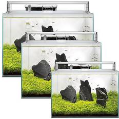 Pets Superfish scaper aquariums freshwater tank for aquascaping planting