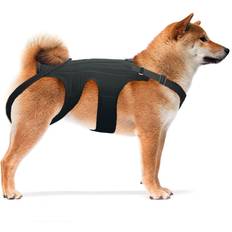 Pets NeoAlly Dog Back Brace for Dogs Arthritis, IVDD, Spinal Prevention