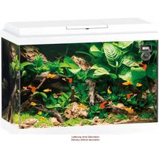 Juwel Primo 70 LED Aquarium Set