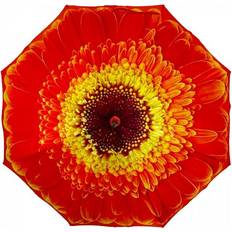 Umbrellas Soake Stormking classic walking length umbrella floral collection orange dais