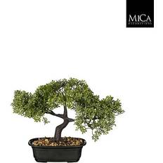 Mica Decorations Bonsai træ 26 højt Krukke