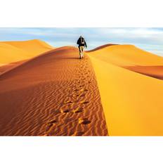 Male Tourists Walking On The Sand Dunes, Morning, Morocco Print on