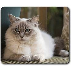 Mouse Pads Ragdoll Cat Kitten Cats Cute Mouse Mat Pad Computer PC Desk Accessory Gadget 2285