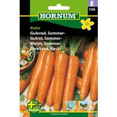 Hornum Gulerod Rotin Maxipack