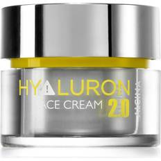 Face cream Alcina Hyaluron 2.0 Face Cream