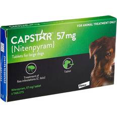 Capstar flea treatment