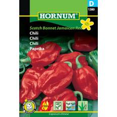 Frugter Krydderier & Urter Hornum Scotch Bonnet Jamaican Red Chili Seeds