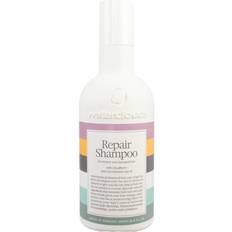 Repair Shampoo