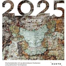 2025 Camouflaged Postcard Calendar
