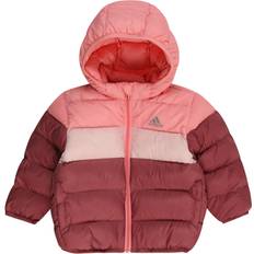 Adidas L Abbigliamento esterno Adidas Piumino Synthetic - Semi Pink Spark/Sandy Pink/Preloved Crimson