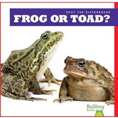 Frog or Toad