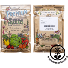 Vegetable Seeds Mountain Valley Seed Company Cauliflower Violetta Italia