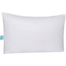 Egyptian Cotton Pillows East Coast Bedding Pure Dream Down Pillow (66x50.8)