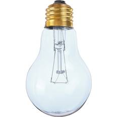 Pets Greenzech Grey 75W Heat Heating Infrared Pet Light Bulb Reptile Tortoise AC110V
