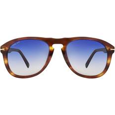 Polar Gold 101 Polarized Sunglasses - Brown