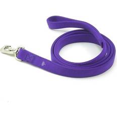 Pets Coastal Coastal dt nylon dog lead, 1", purple