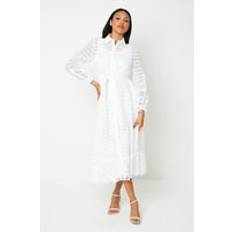 Clothing Coast Lace And Stripe Organza Belted Shirt Dress With 3/4 Sleeves White