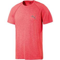 Puma active mens evoknit basic fitness training t-shirt top pink 590632 a57e