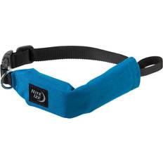 Nite Ize RadDog All-In-One Dog Collar and Leash