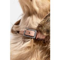 Wild One Pets Wild One Pink Buckle Dog Collar Blush