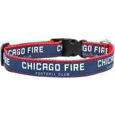 All Star Dogs Chicago Fire Collar