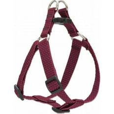 Berry 20 Inch Step In Hrns 20 Inch