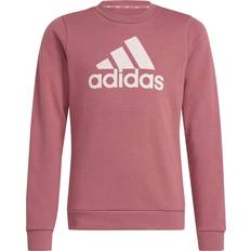 Adidas Sweatshirts adidas Sport Performance Sweatshirt G Bl Swt - Lilla