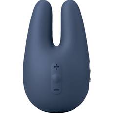 Form 2 Pro