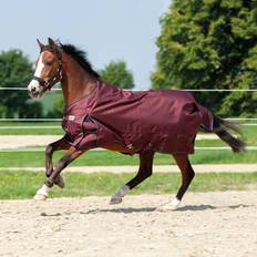 Rouge Couvertures pour Chevaux Kavalkade Couverture d'extérieur Alaska IV bordeaux