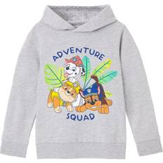 Paw Patrol Overdele Paw Patrol grey hoodie boys