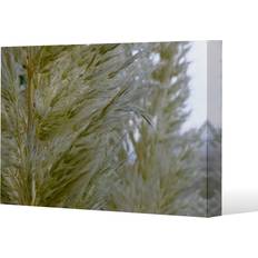 Yellow Framed Art autumn pampas grass close up Canvas Print Framed Art