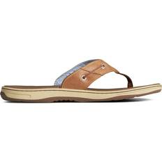 Sperry Men Flip-Flops Sperry Men's Leather Baitfish Flip Flops Brown, Boxed Summer Seasonal