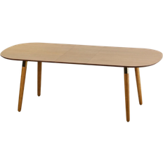 Flair Edelweiss Extending Ash/Brass Dining Table 95x210cm