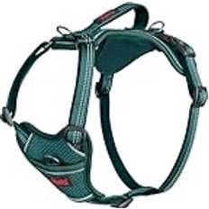 Turquoise Dog Harness Medium 35-55 cm