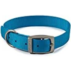 Ancol Viva Buckle Dog Collar 3 28-36cm