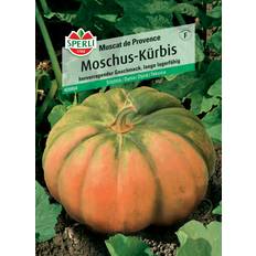 Kräutersamen Sperli Mochus-Kürbis Muscat de Provence 0693109640