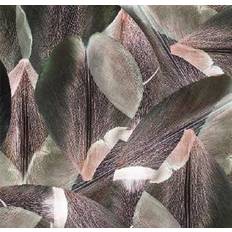 Textil Linoleumgolv Forbo Textilgolv Flotex 001587F Tulip Field Red 200cm
