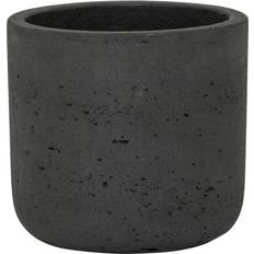Mini Charlie XXS Black Washed
