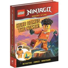 LEGO Ninjago LEGO LEGO R NINJAGO R Here Comes the Ninja! with Arin minifigure and dragon mini-build LEGO R Minifigure Activity