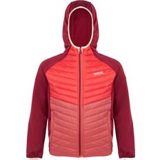 Red Jackets Children's Clothing Regatta Girls Kielder VIII Hybrid Full Zip Padded Coat 15-16 Years