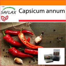 Soleggiato Semi di fiori Saflax Garden in the Bag - Capsicum Annum 20 Semi