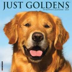 Gold Calendars Willow Creek Press Golden Retrievers Calendar 2025