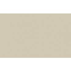 Målarfärg Little Greene Rolling Fog® Absolute Matt